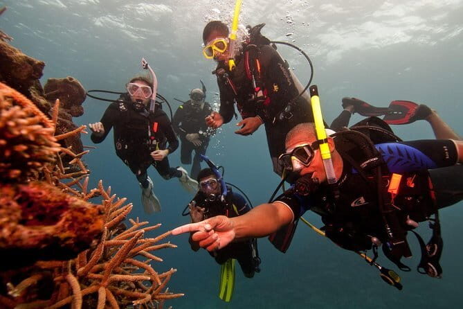 PADI Advanced Open Water Diver Course - The Sum Up: Who Is This Course Best For?