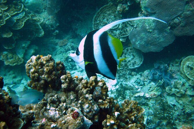 PADI Advanced Open Water Diver course Two days one night included accommodation - The Itinerary Breakdown
