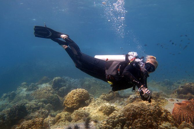 Padi Advanced open Water Diver Courses (Start at Koh Chang) - A Closer Look at the Koh Chang PADI Advanced Course