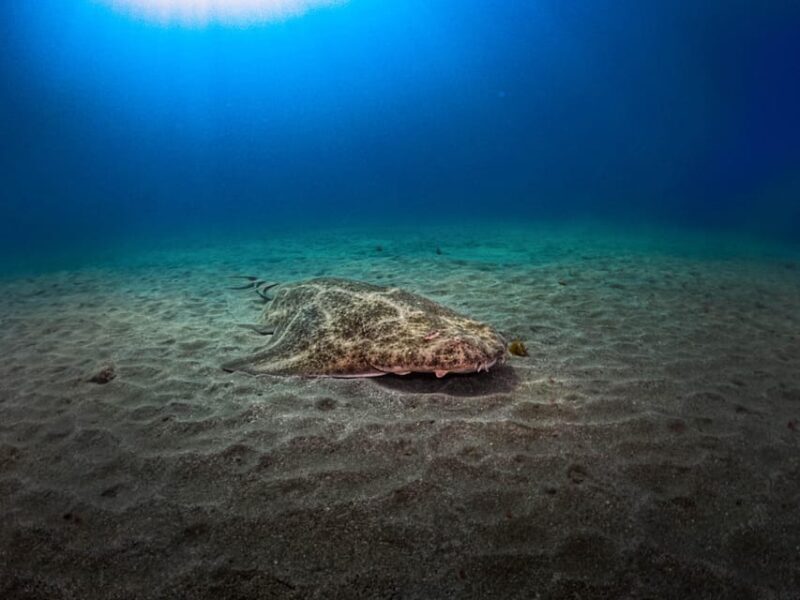 PADI ADVANCED OPEN WATER DIVER - FAQ