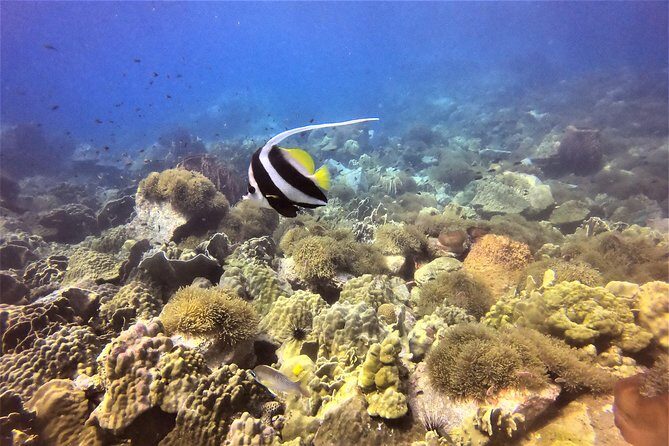 PADI Discover Scuba Dive Experience - Practical Considerations