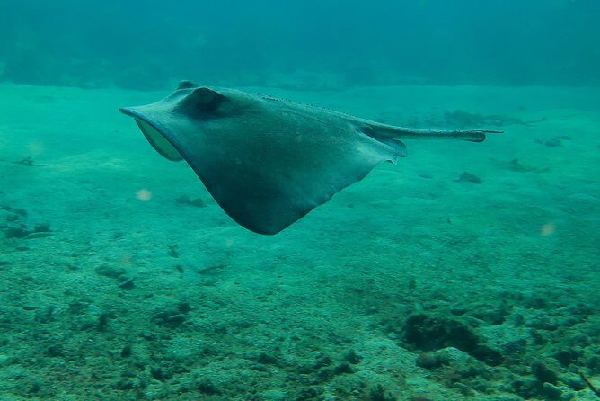 PADI Discover Scuba Diving - Who Will Enjoy This Tour?