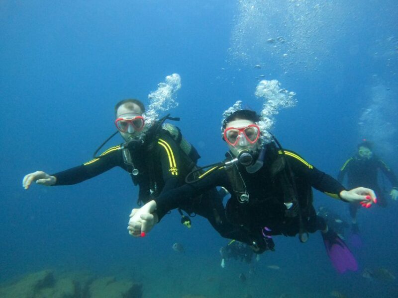 PADI Discover Scuba Diving Course in Tenerife - Final Thoughts: Who Is This Tour Best For?