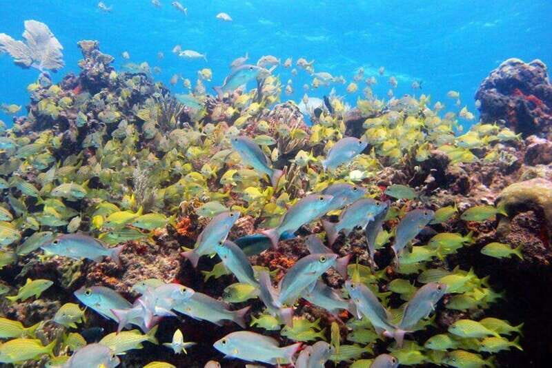 PADI Discover Scuba Diving for divers without certification - Detailed Breakdown of the Itinerary