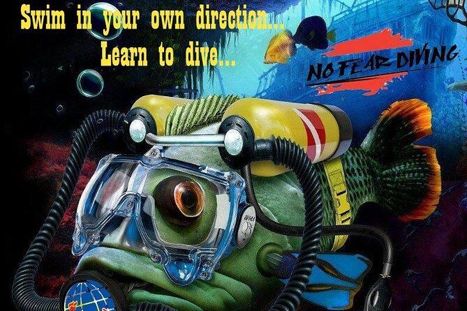 Padi Discover Scuba Diving In Amed Bali - Authentic Traveler Perspectives