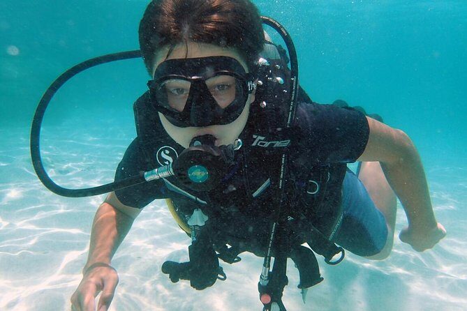 PADI Discover Scuba Diving in Koh Tao - half day and two dives - The Itinerary: What to Expect