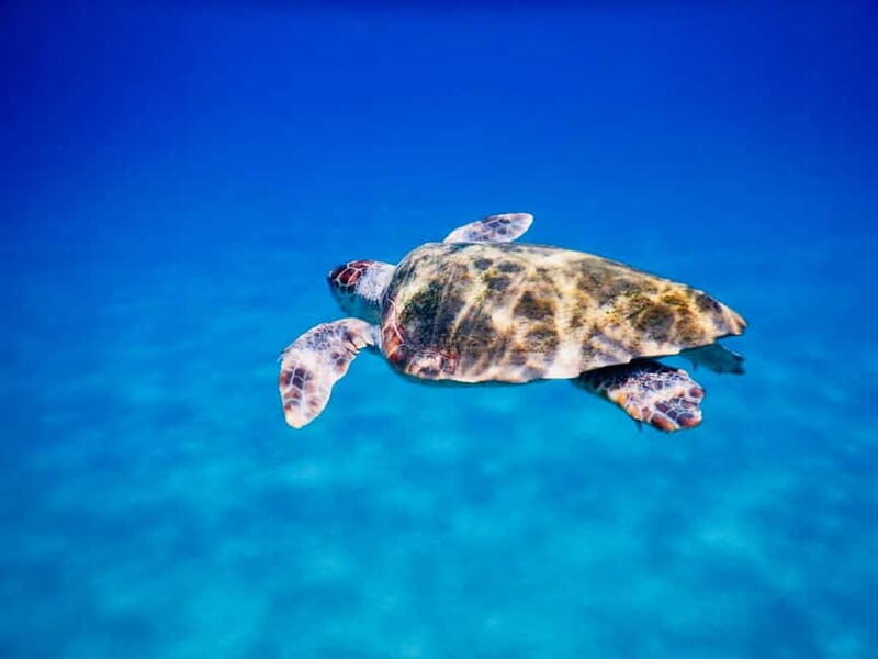 PADI Discover Scuba Diving - Ios Island - Practicalities and Logistics