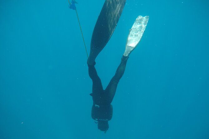 PADI Freediver Course - What to Expect from the PADI Freediver Course