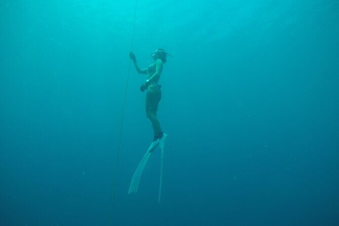 PADI Freediver Course - The Open Water Opportunity