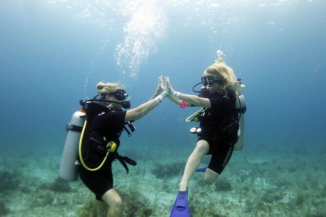 PADI Open Water Diver Course - An In-Depth Look at the PADI Open Water Diver Course in Isla Mujeres