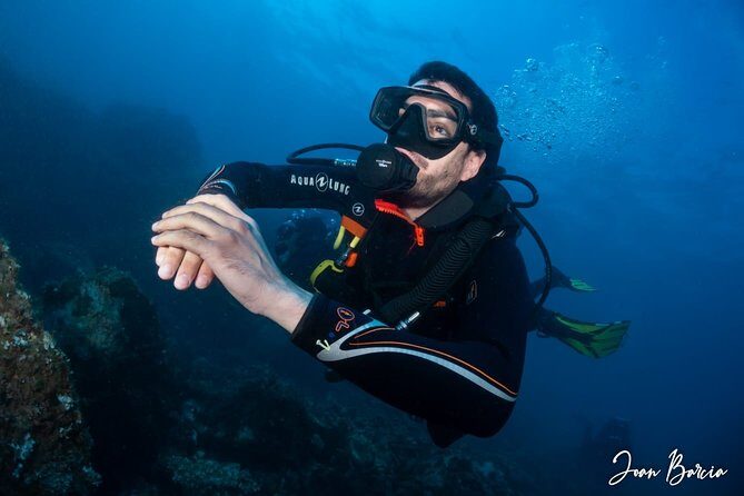 PADI Open Water Diver Course - Who Should Consider This Course?