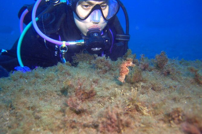 PADI Open Water Diver Course (OWD) - 2 days - Is This Course Right for You?