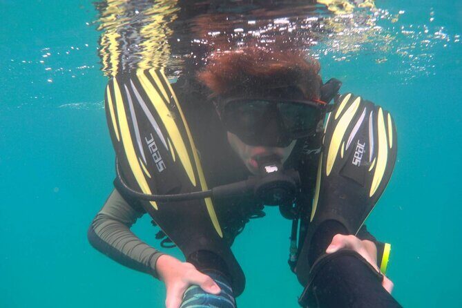 Padi open water diver course (Start at Ko Kut) - What to Expect from This 3-Day Adventure