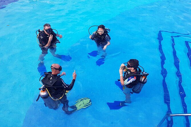 PADI Open Water Diving Certification Course Activity - Who Should Consider This Experience?