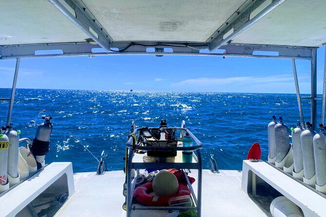 PADI Refresher Course - Practical Details and Value