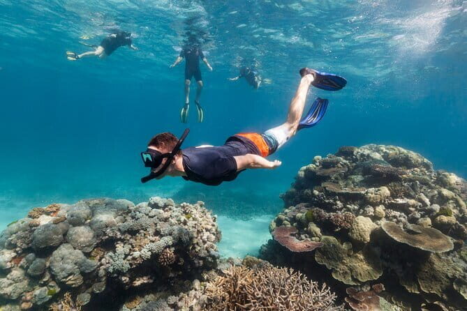 PADI Skin Diver (Snorkeling) - One Day Program - Key Points