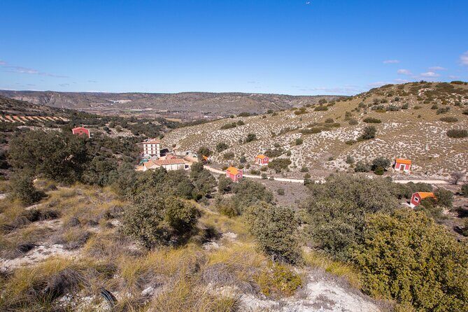 Paella, Olive Oil, Wine & Relax in Rural Estate outside Madrid - An In-Depth Look at the Experience