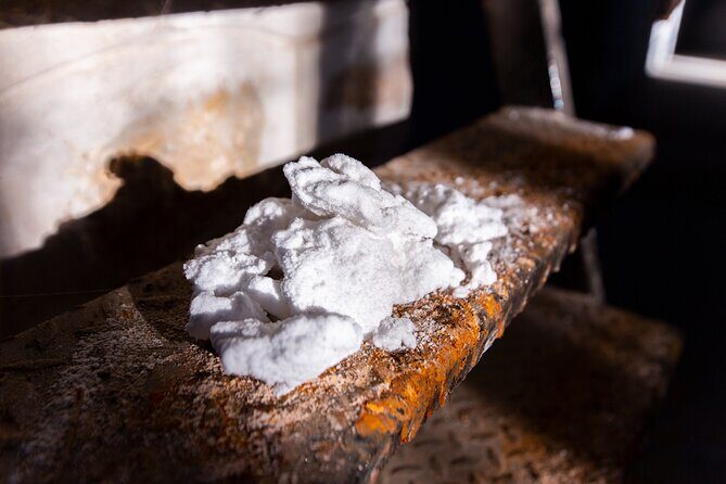 Paella, Olive Oil, Wine & Relax in Rural Estate outside Madrid - FAQ