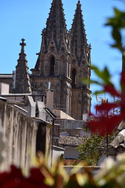 Paella over Palma - Key Points