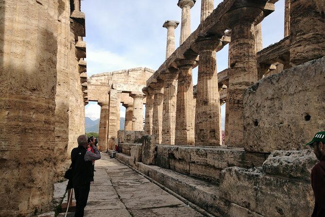 Paestum Traditions, Buffaloes, Ceramics, Temples - Who This Tour Is Best For