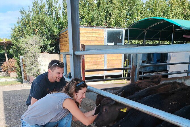 Paestum Traditions, Buffaloes, Ceramics, Temples - The Sum Up