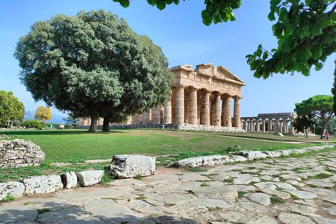 Paestum Traditions, Buffaloes, Ceramics, Temples - FAQ