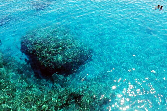 Pafos Zoo Visit & Blue Lagoon Cruise with Local Guide from Paphos - Final Thoughts: Is It Worth It?