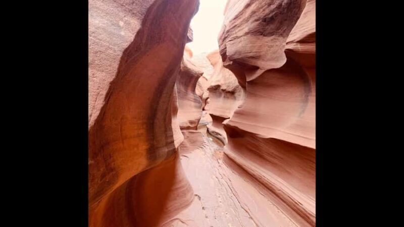 Page: Rams Head Canyon Guided Hike - An In-Depth Look at the Rams Head Canyon Guided Hike