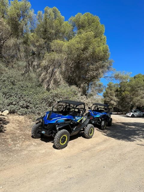 Paguera: 2 Hour Buggy Tour - What to Expect on the Paguera Buggy Tour