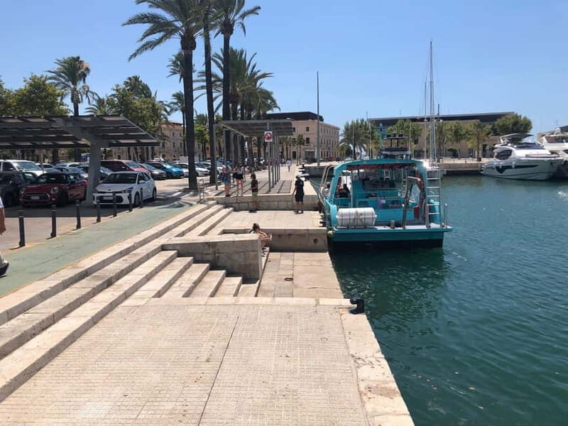 Paguera or Santa Ponsa: Speedboat Cruise to Palma - FAQ