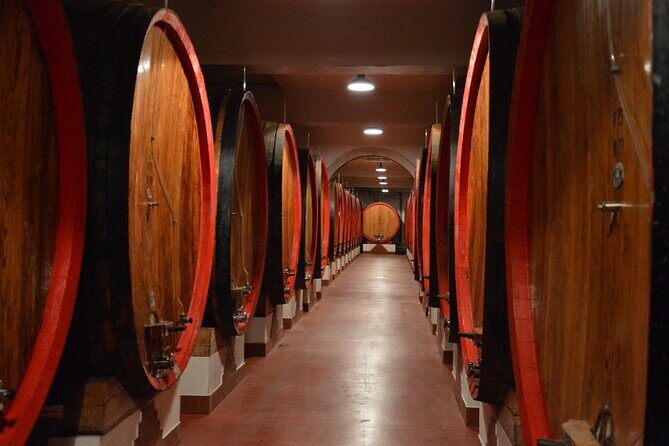 Pagus Wine Tours® - Soave and Amarone - Half day wine tour - Final Thoughts