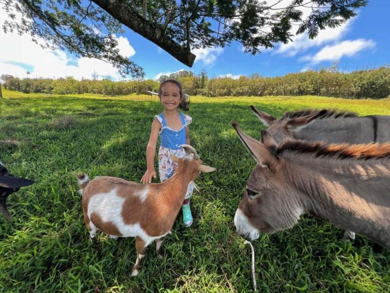 Pahoa: Ranch Tour with Animal Feedings and Interactions - Key Points