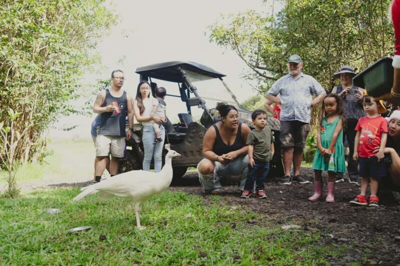 Pahoa: Ranch Tour with Animal Feedings and Interactions - Real Feedback from Participants