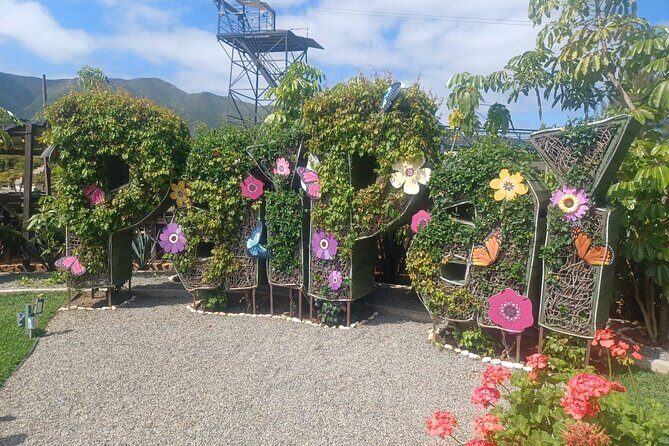 Pai Pai Animal Experience: Private Ride and Ticket Assistance - FAQ