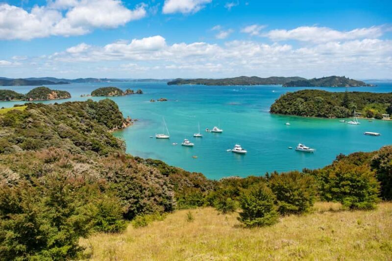 Paihia: Bay of Islands Dolphin Eco Cruise & Island Stopover - What the Itinerary Looks Like