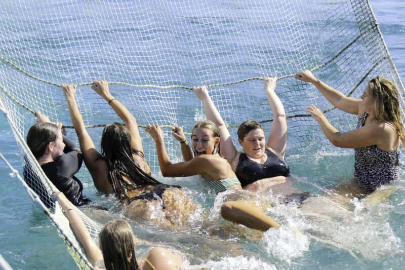 Paihia: Bay of Islands Dolphin Eco Cruise & Island Stopover - Wildlife and Conservation Focus