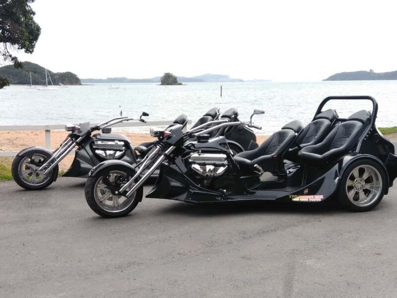 Paihia: Bay of Islands Trike Tour Experience - A Full Breakdown of the Paihia Trike Tour Experience