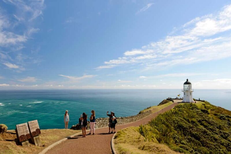 Paihia: Cape Reinga and Ninety Mile Beach Trip with Lunch - An Introduction to the Experience
