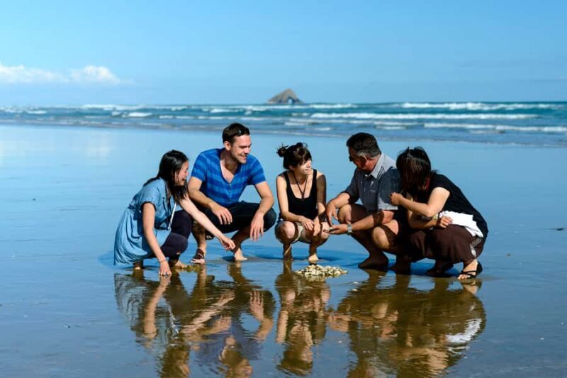 Paihia: Cape Reinga and Ninety Mile Beach Trip with Lunch - Authentic Cultural Encounters