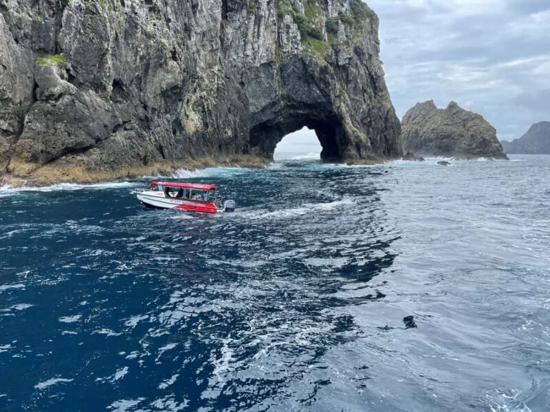 Paihia: Glass Bottom Boat Tour to the Hole in the Rock - FAQ