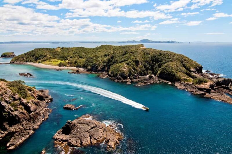 Paihia: Hole in the Rock Fast Boat with Island Stopover - Pricing and Value for Money