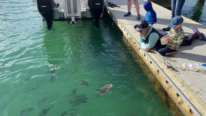 Paihia/Russell: Hole in the Rock Cruise with 2 Island Stops - Things to Keep in Mind