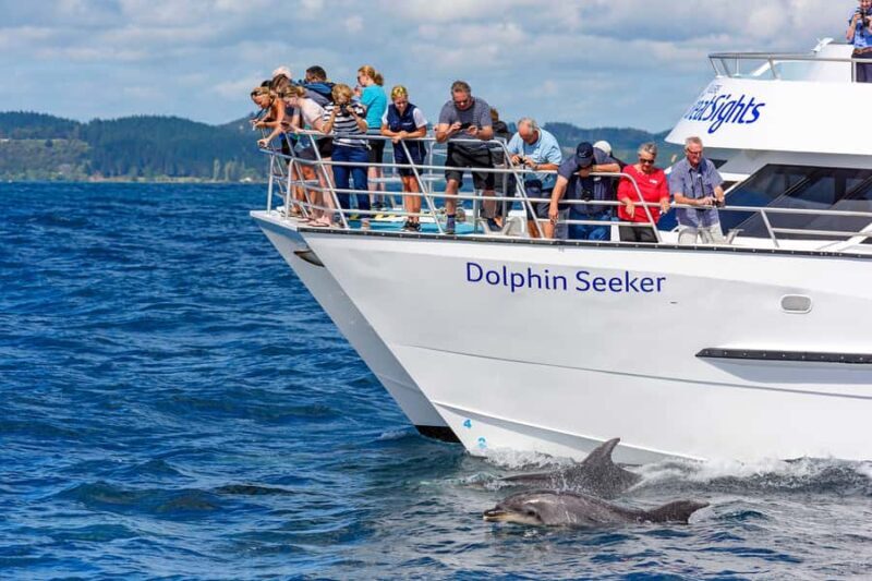 Paihia/Russell: Hole in the Rock, Dolphins & Island Cruise - An In-Depth Look at the Experience