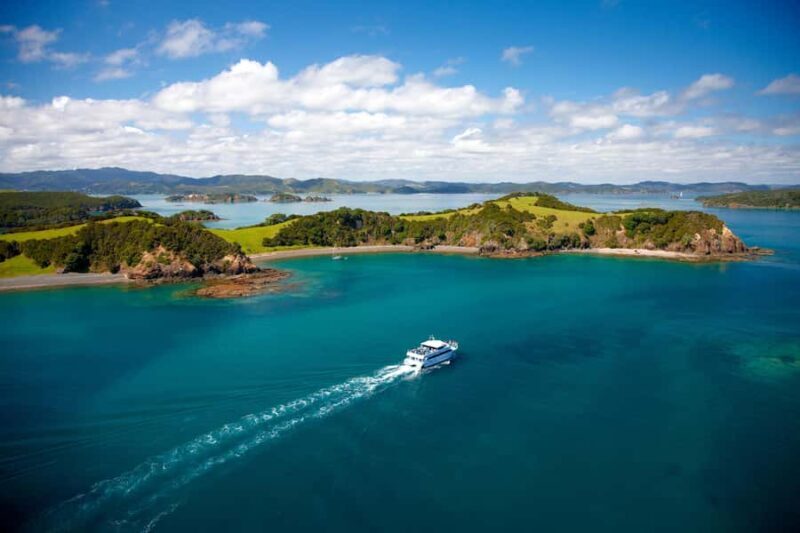 Paihia/Russell: Hole in the Rock, Dolphins & Island Cruise - Final Thoughts