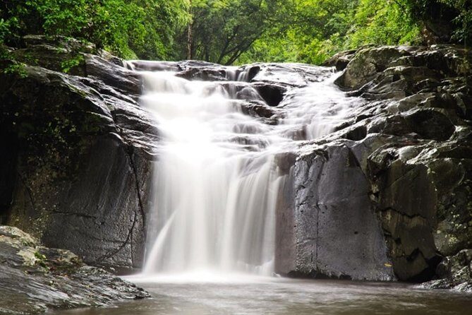 Pala U Waterfall in Kaeng Krachan Jungle with Private Guide from Hua Hin - Exploring Pala U Waterfall in Kaeng Krachan Jungle with a Private Guide from Hua Hin