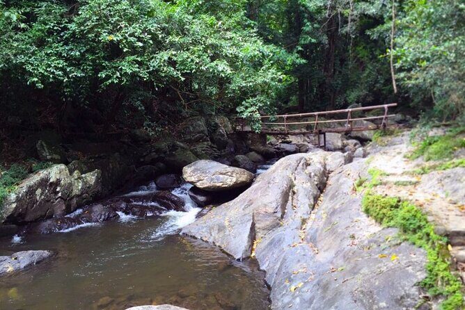 Pala U Waterfall in Kaeng Krachan Jungle with Private Guide from Hua Hin - Final Thoughts