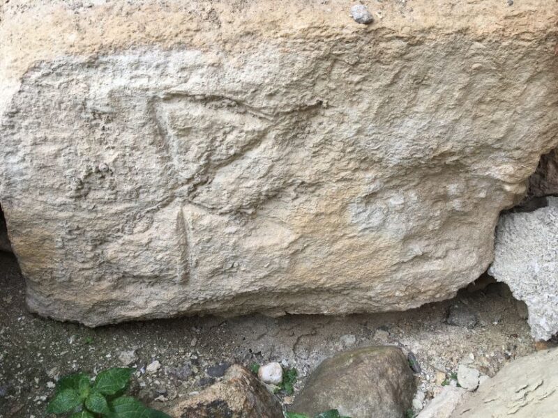 Palace of Knossos Small Group Tour - Who Should Consider This Tour?