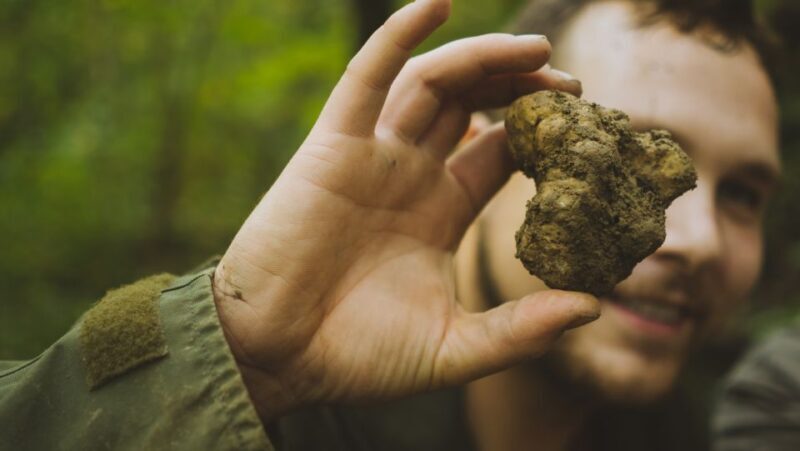 Paladini: Truffle Hunting Tour with 3-Course Tasting Menu - A Deep Dive into the Truffle Hunting Experience