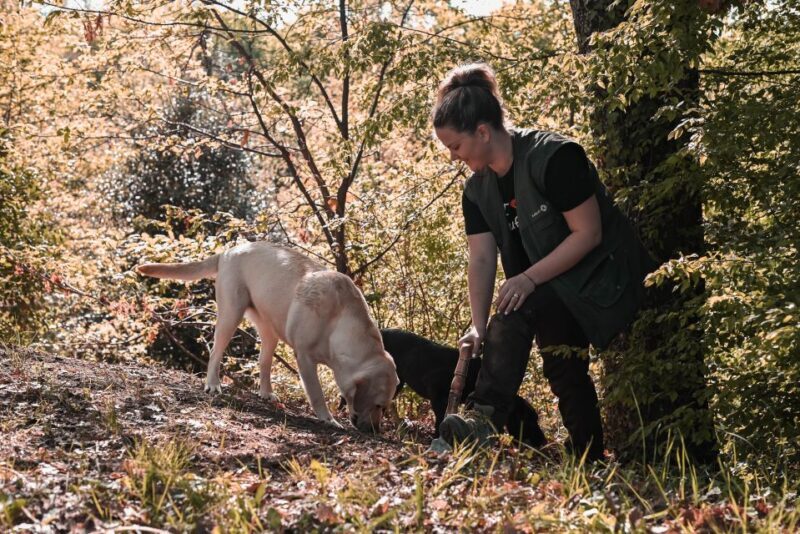 Paladini: Truffle Hunting Tour with 3-Course Tasting Menu - The Overall Experience and Practicalities