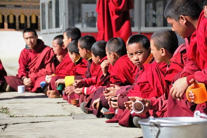 Palampur's Guided Day Tour: Discover the Tea Capital. - Exploring the Itinerary in Detail